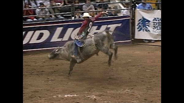 Premier Series Classic - PBR Bull Riding, San Jose, CA 1997