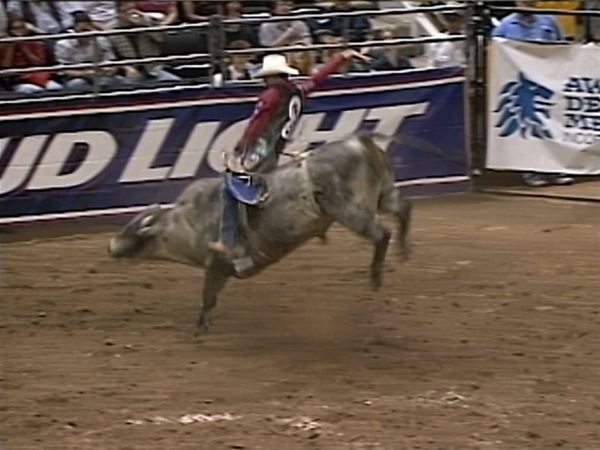 Premier Series Classic - PBR Bull Riding, San Jose, CA 1997