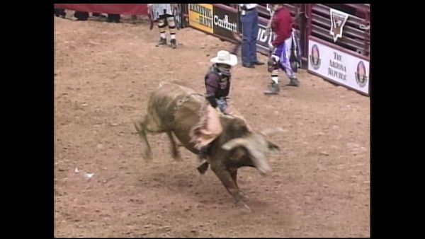 Premier Series Classic - PBR Bull Riding, Phoenix, AZ 1999