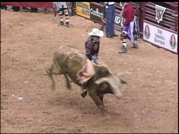Premier Series Classic - PBR Bull Riding, Phoenix, AZ 1999