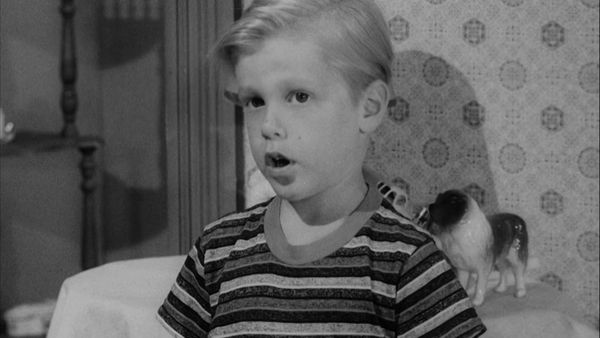 The Andy Griffith Show - Andy & Opie, Housekeepers