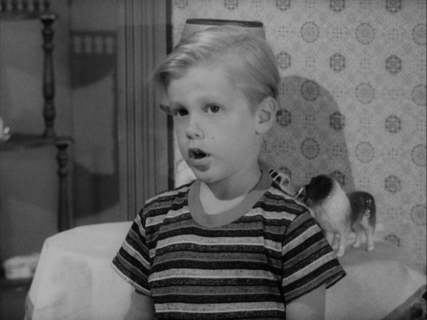 The Andy Griffith Show - Andy & Opie, Housekeepers