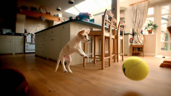 10 Puppies And Us - Episode 2