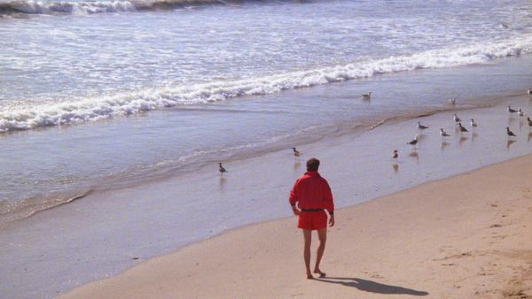Alerte à Malibu - L'affaire Falcon
