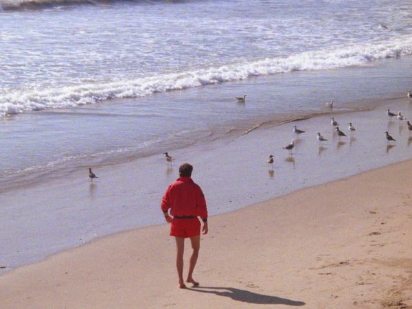 Alerte à Malibu - L'affaire Falcon