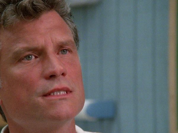 Alerte à Malibu - Immersion