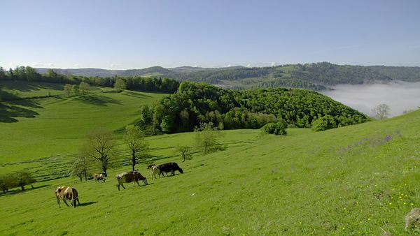 Wunderwelt Schweiz - Wunderwelt Schweiz – Die Jura-Region