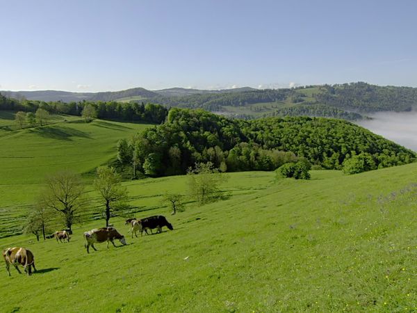 Wunderwelt Schweiz - Wunderwelt Schweiz – Die Jura-Region