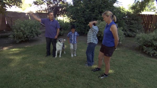 El encantador de perros - Special: 100th Episode Celebration
