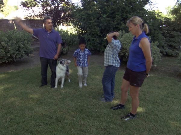 El encantador de perros - Special: 100th Episode Celebration