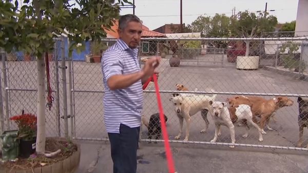El encantador de perros - Willie, Make-A-Wish and Zena