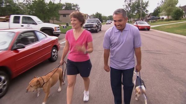 El encantador de perros - Gus, Abbey, and Vinnie