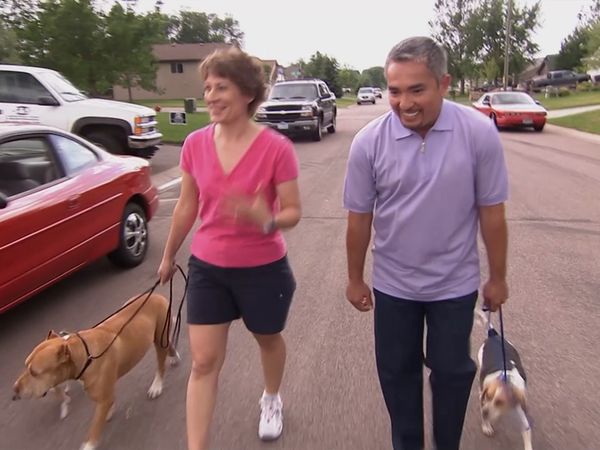El encantador de perros - Gus, Abbey, and Vinnie