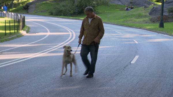 El encantador de perros - Nightmare in Central Park, Bad Boy Baxter
