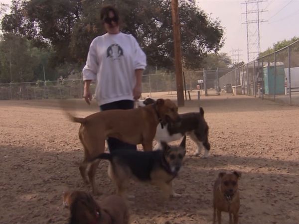 El encantador de perros - Anti-Social Sasha
