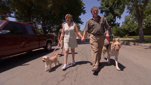 El encantador de perros - Caged Shepherd, Tinkling Terrier