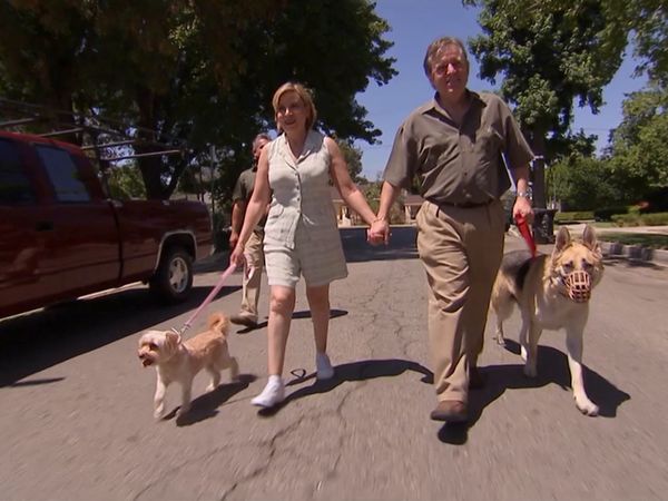 El encantador de perros - Caged Shepherd, Tinkling Terrier