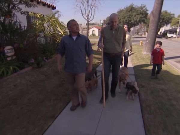 El encantador de perros - Fear of Dogs