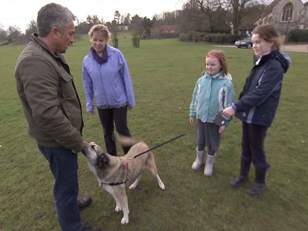 El encantador de perros - Especial Inglaterra 1
