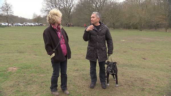 El encantador de perros - Especial Inglaterra 2
