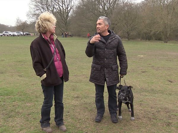 El encantador de perros - Especial Inglaterra 2