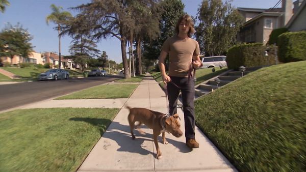 El encantador de perros - Anger Management