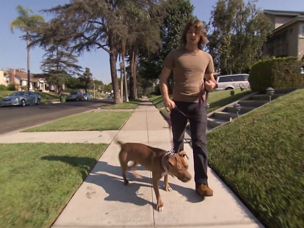El encantador de perros - Anger Management