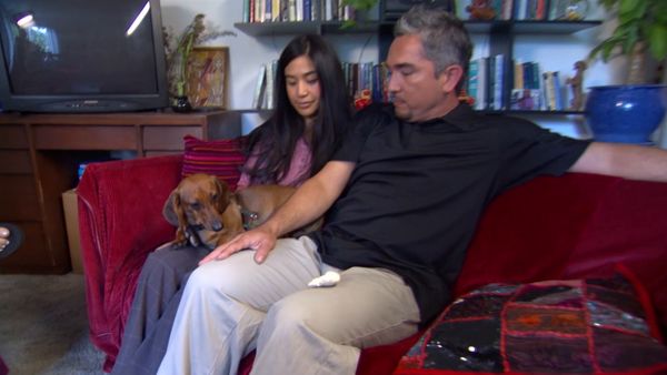 El encantador de perros - Lotus, Rocco, Hootie