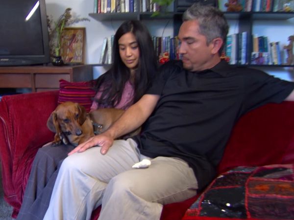 El encantador de perros - Lotus, Rocco, Hootie