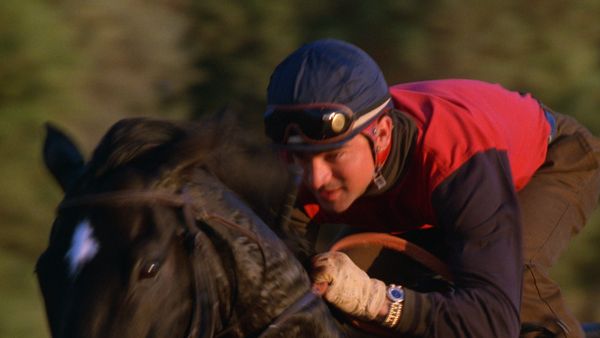 Alerte à Malibu - Une course contre la peur