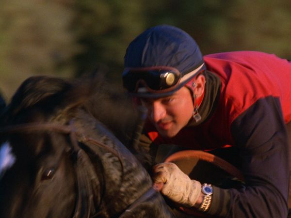 Alerte à Malibu - Une course contre la peur