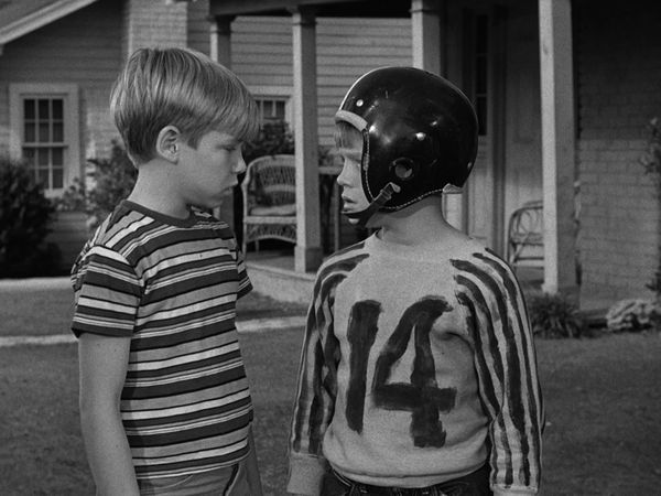 The Andy Griffith Show - Andy And Opie's Pal