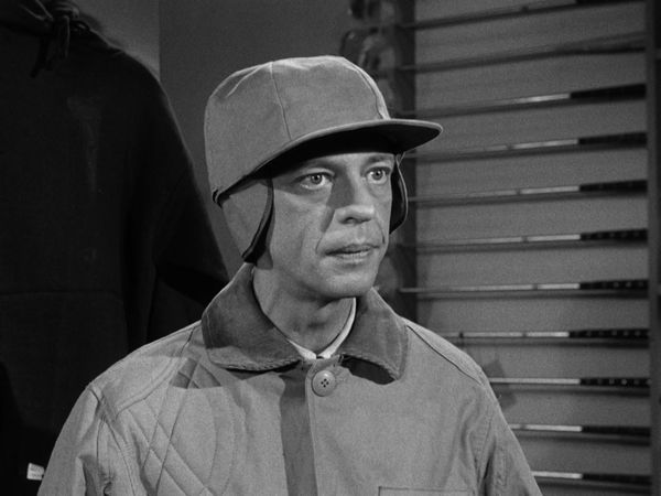 The Andy Griffith Show - Andy's Vacation