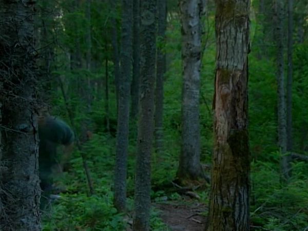 Paranormal Portals - The Manipogo Lake Monster