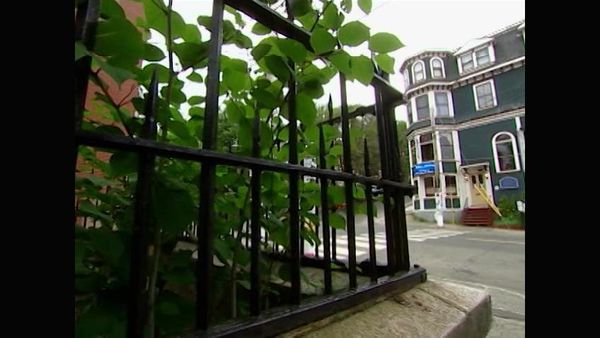 Paranormal Portals - The Haunted Helmcken House