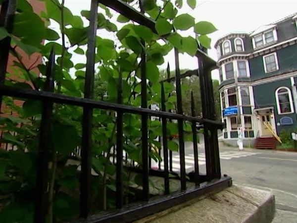 Paranormal Portals - The Haunted Helmcken House