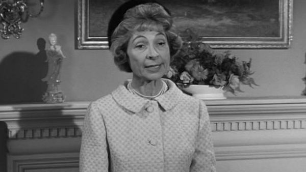The Patty Duke Show - House Guest
