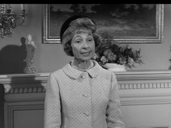The Patty Duke Show - House Guest