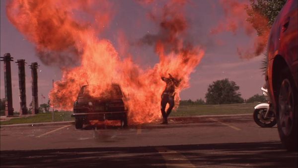 Stunt Stars - To Live And Die
