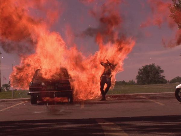 Stunt Stars - To Live And Die
