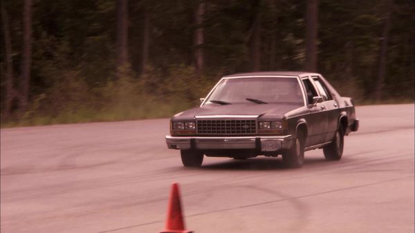 Stunt Stars - The 4400