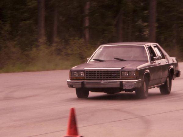 Stunt Stars - The 4400