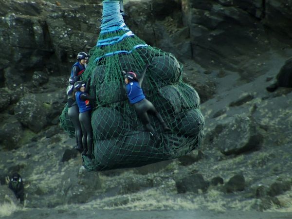 The Challenge - Um Novo Jay Para Morrer