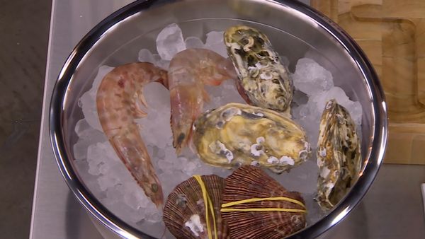 MasterChef Brasil - Temporada 3 - Episódio 3