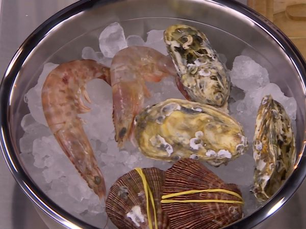 MasterChef Brasil - Temporada 3 - Episódio 3