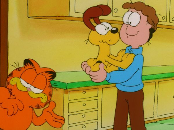 Garfield and Friends - Garfield and Friends
