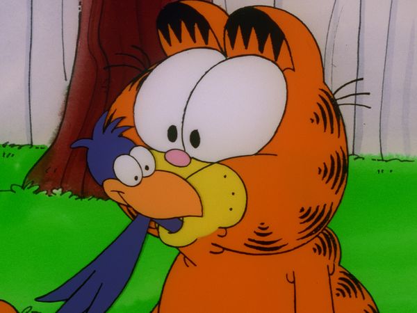 Garfield and Friends - Garfield and Friends