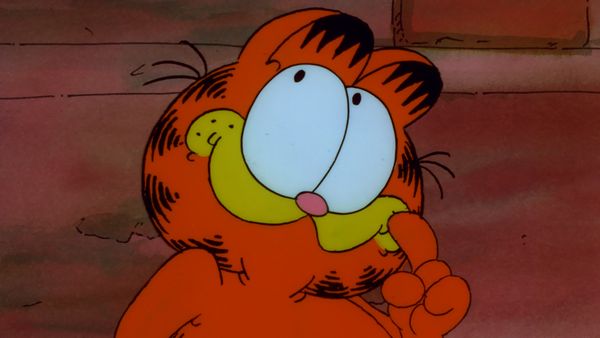 Garfield and Friends - Garfield and Friends