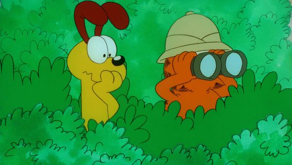 Garfield and Friends - Garfield and Friends