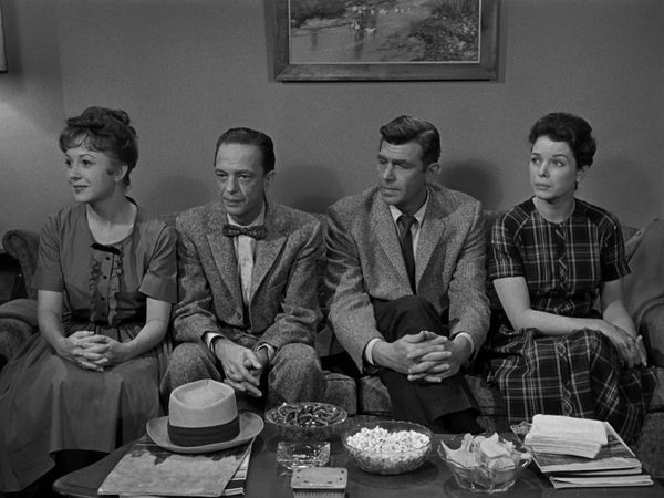 The Andy Griffith Show - Goober And The Art of Love